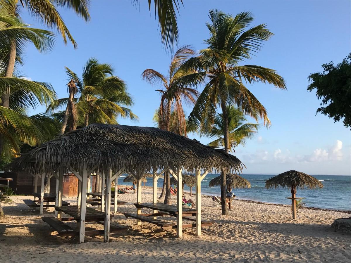 Coeur Tiare Studio Lounge Piscine Plage Cocotiers Saint-Francois  Bagian luar foto